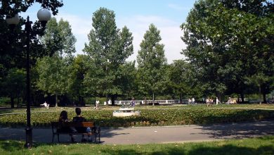 Последен шанс да спасим Борисовата градина от лапите на Фандъкова (12 причини за съсипването на най-големия парк в София)