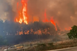 Голям пожар пламна в близост до бензиностанция в Казанлък (Видео)