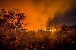 Затварят АМ "Марица" в Хасковско заради пожарите