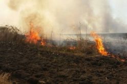 Заради голям пожар е ограничено движението в участъка Слънчев бряг - Обзор на пътя Бургас