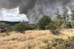 Три пожара горят в Бургаско, има починал от задимяване