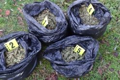 Хванаха над 4 кг марихуана, скрита в куриерска пратка от Италия за Гърция