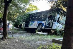 Автобус на градския транспорт в София се заби в дърво, има пострадали, сред които и две деца
