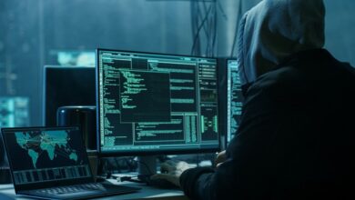 СКАНДАЛ в Narod.bg: Агенцията по заетостта ударена от хакер през компютъра на регионален шеф